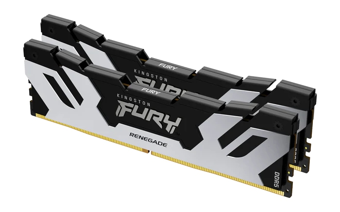 ガイザー・キャラレン・ファイア 7000 Модуль памяти DDR5 2x16GB/6400 Kingston Fury Renegade Silver