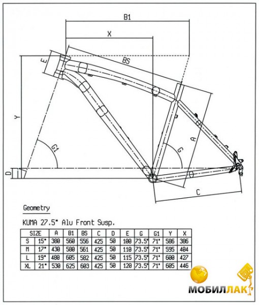Bianchi kuma 27.1 2025