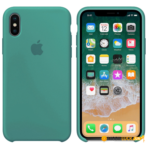  Silicone case iPhone X/XS (61) cactus