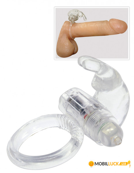   Cock Ring