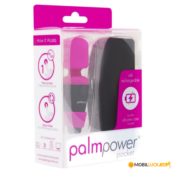   PalmPower Pocket