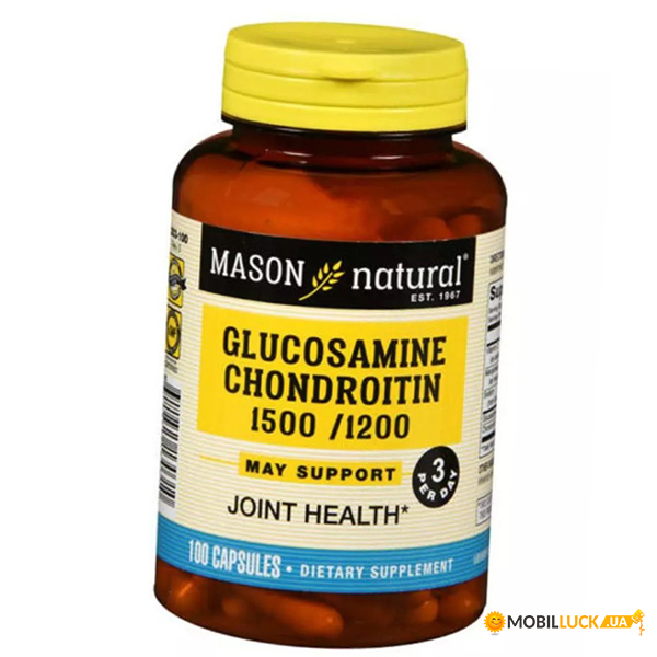   Mason Natural Glucosamine Chondroitin 100 (03529002)