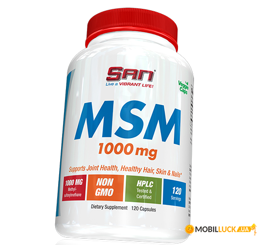  San MSM 1000 120 (03091002)