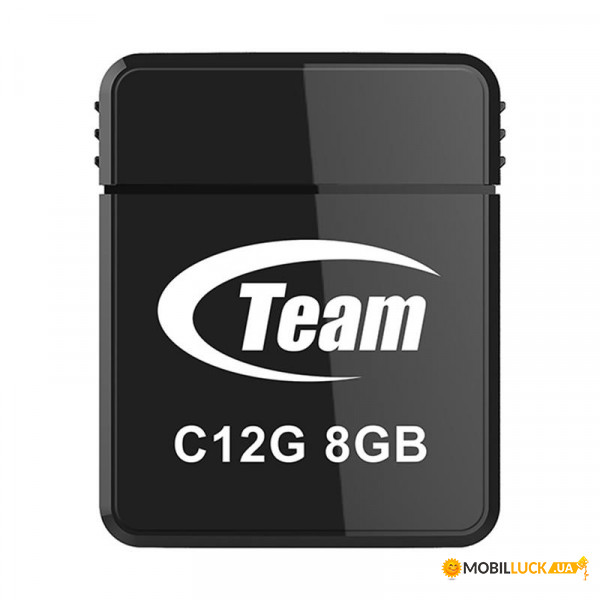 Flash USB 8Gb Team C12G Black (TC12G8GB01)