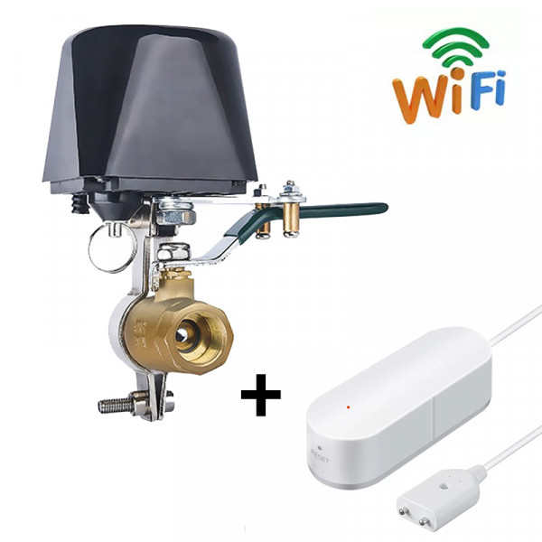 WiFi     Digital Lion |  SM-01w +   LWS-01w, Tuya, DN15, 1/2