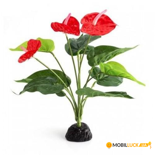   Repti-Zoo Anthurium TP013 (apRZ-TP013)