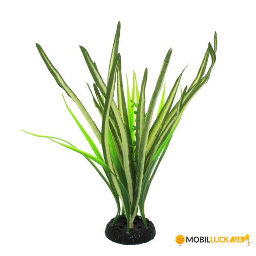   Repti-Zoo Dracena Marginata TP016 (apRZ-TP016)