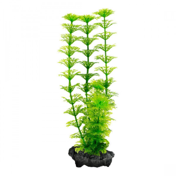   Tetra Ambulia DecoArt Plant L 30  