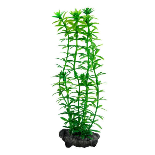   Tetra Anacharis DecoArt Plant M (270350) 23  (270350)