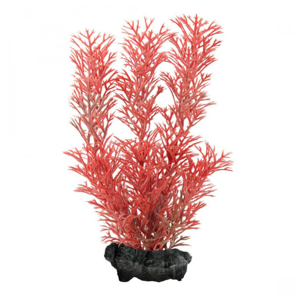   Tetra Foxtail Red DecoArt Plant M  23 