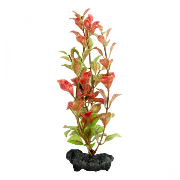  Tetra Red Ludwigia DecoArt Plant L 30