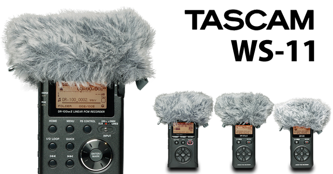  Tascam WS11