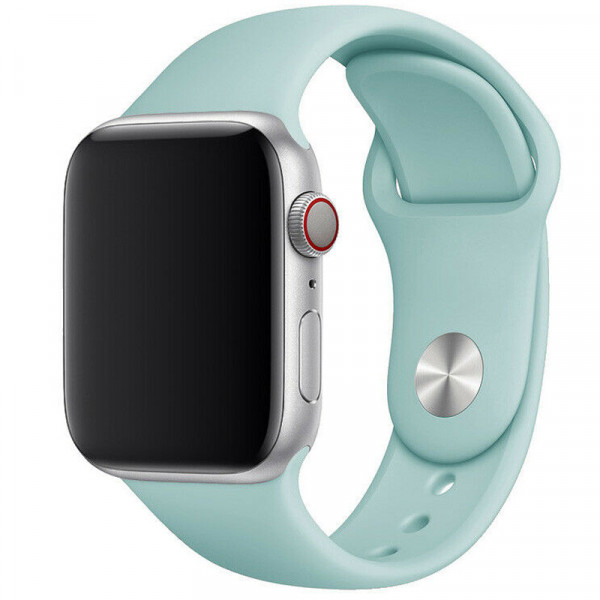   Epik Apple watch 38mm / 40mm  / Beryl