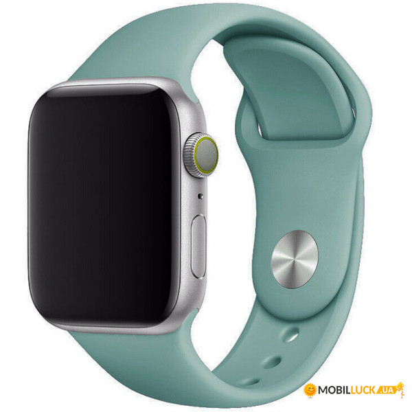   Epik Apple watch 38mm / 40mm  /Light cactus