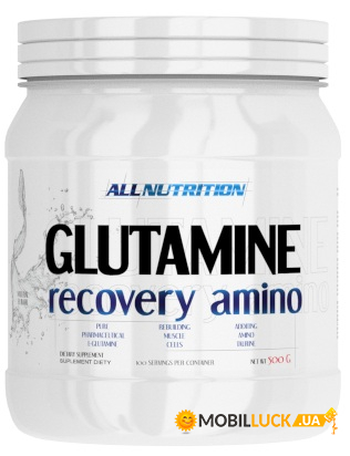  AllNutrition Glutamine Recovery Amino 500   