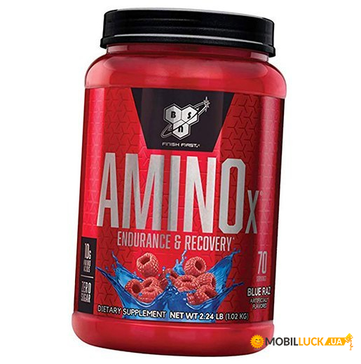  BSN Amino -X 1010g Blue Raspberry