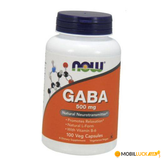  Now Foods Gaba 500 B6 100 (27128004)