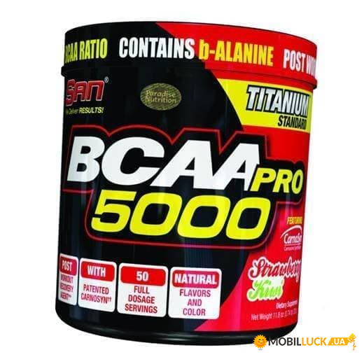  San BCAA-Pro 5000 345 - (28091001)