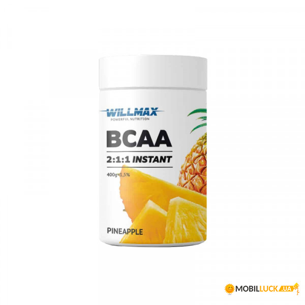  Willmax BCAA 2:1:1 400  