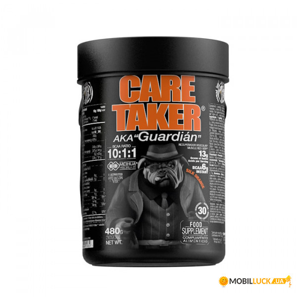  Zoomad Labs Caretaker BCAA 480  