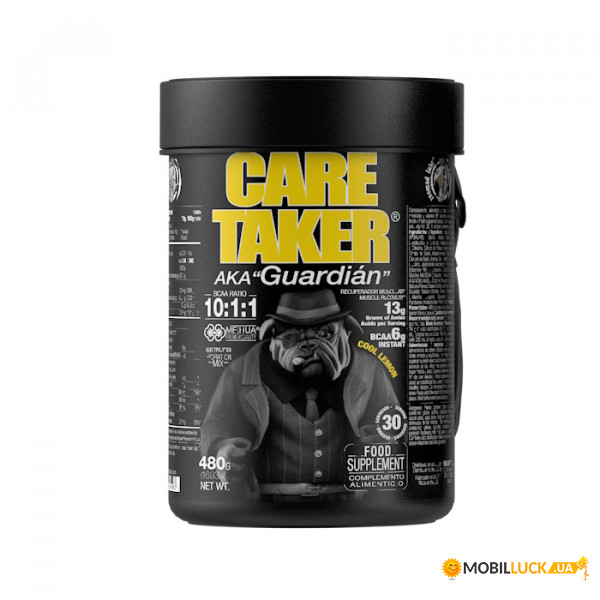  Zoomad Labs Caretaker BCAA 480  