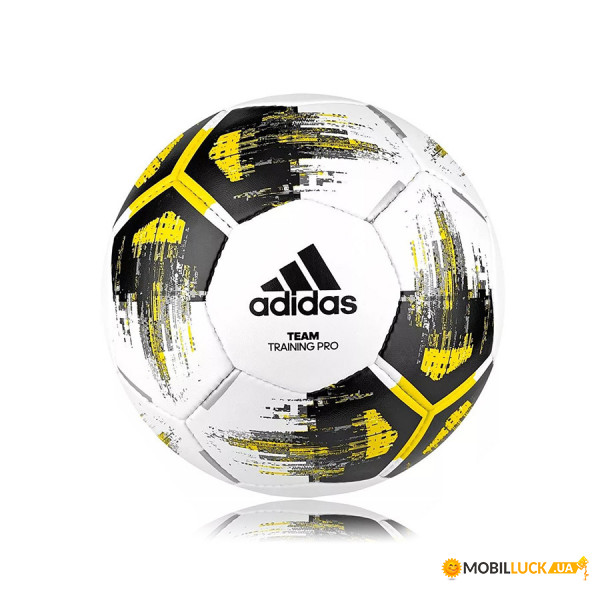   Adidas Team Training Pro CZ2233 ()