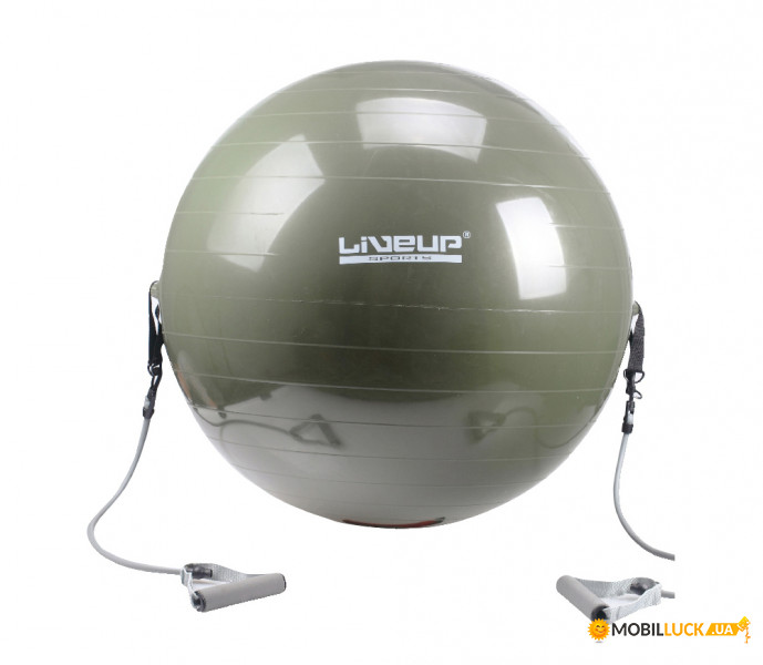    LiveUp gym ball with expander 65  