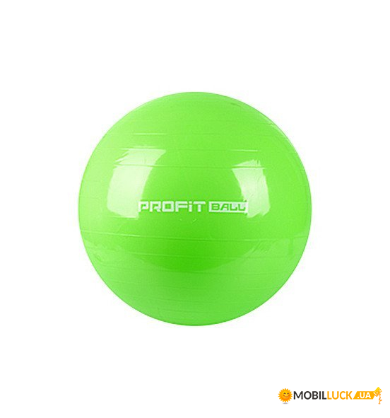    Profi MS0382-6 65 