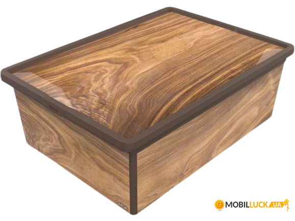  QUTU TREND BOX    WOOD 25. (TREND BOX    WOOD 25.)