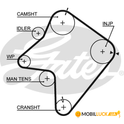   Gates  Z=257 (5354XS)