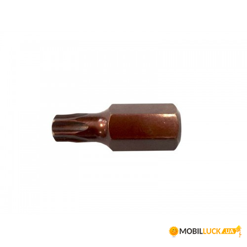  Rock Force TORX T60x30mmL,10mm