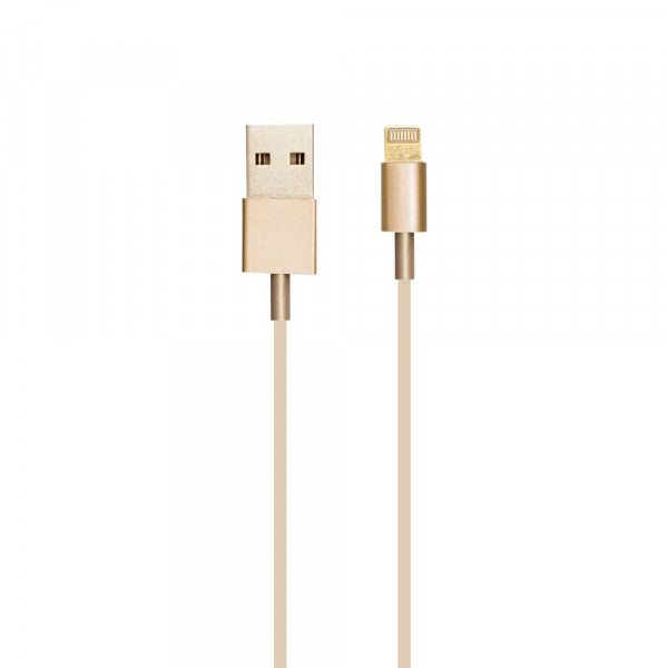  USB  Iphone 5S Lightning Gold