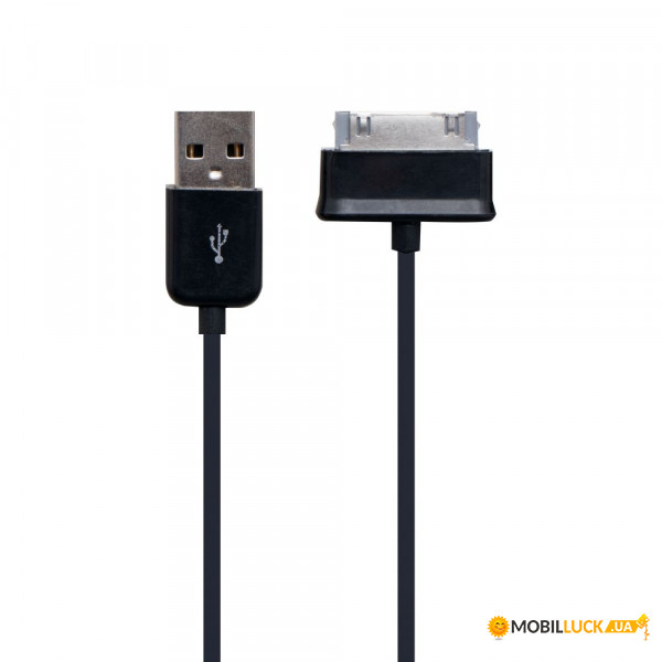   USB  Samsung P1000 ׸