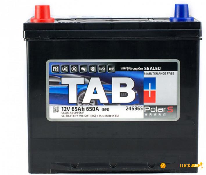   65 Ah/12V TAB Polar S (1) Japan (246 965)