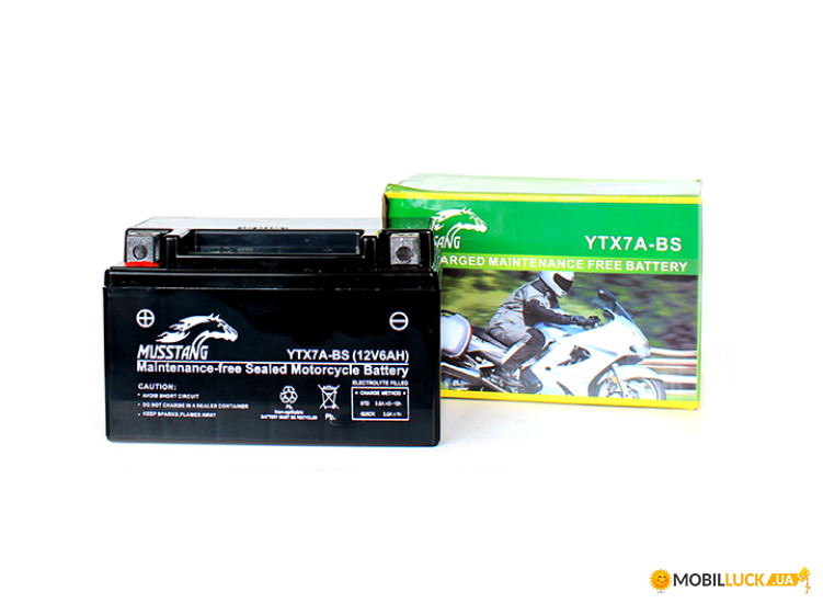   Yuasa 12V 6Ah MF VRLA Battery AGM YTX7A-BS() (YTX7A-BS)