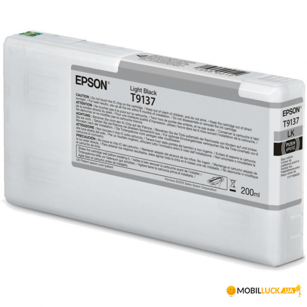   Epson C13T913700