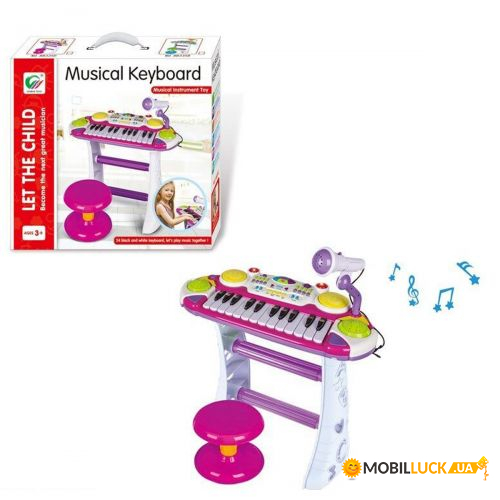   Musical Keyboard (BB335 D)