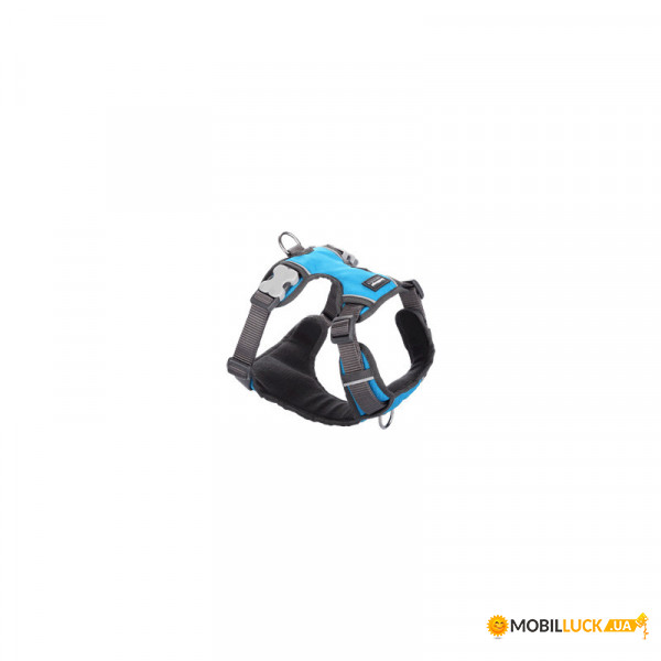    RedDingo Padded Harness S - 1.5*37-52  