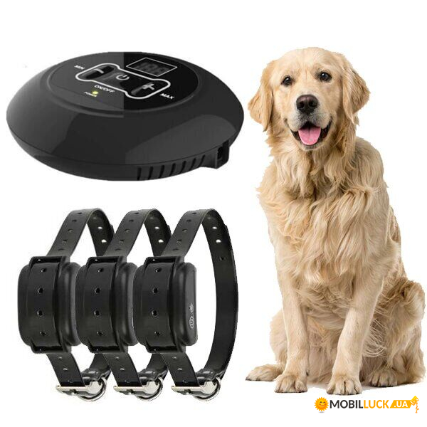      Wireless Dog Fence WDF-558,  3- 