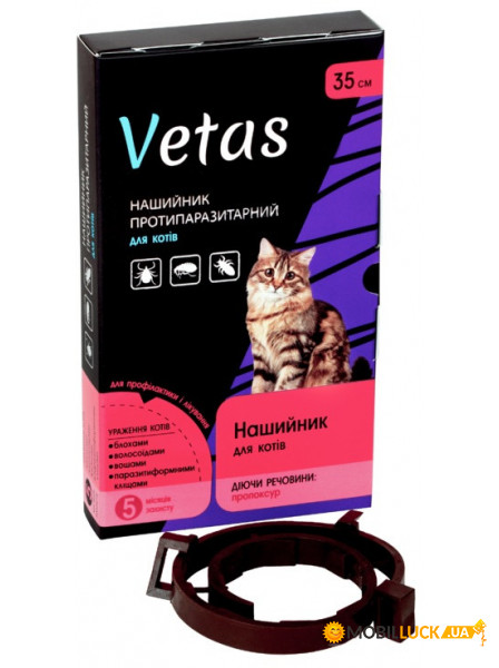   Vetas   35 