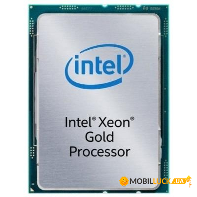 c Dell EMC Intel Xeon Gold 5220 (338-BSDI)