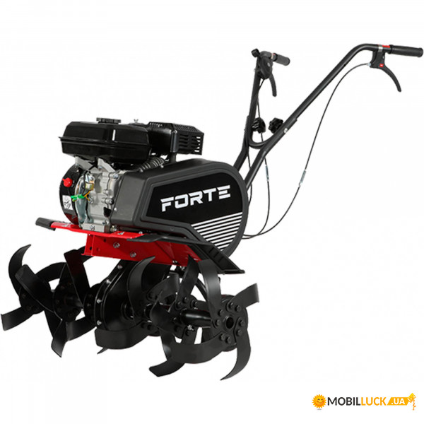  Forte -70 (95872)