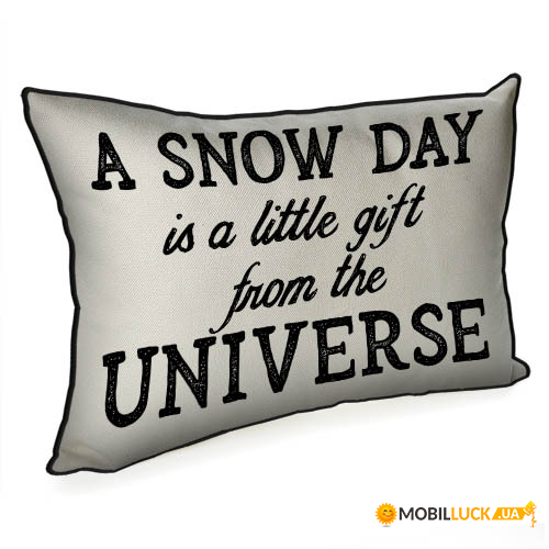    4532  A snow day is a little gift from the universe 43PHB_21NG003