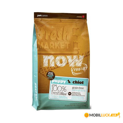   NOW Fresh Puppy Large Breed Recipe Grain Free    ,  ,   , 11.34  119099