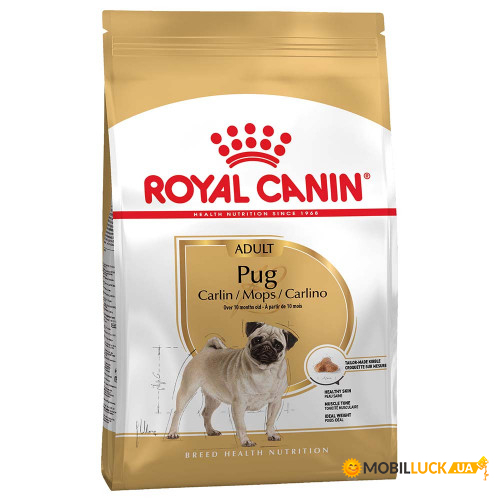   Royal Canin Pug Adult  , 3  109058