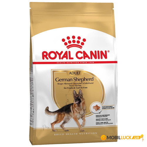   Royal Canin German Shepherd Adult   , 3  22583