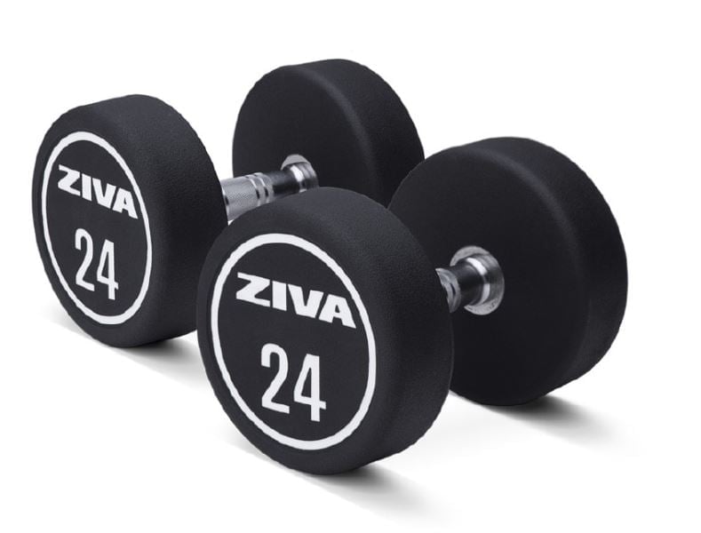  Ziva XP Urethane 2