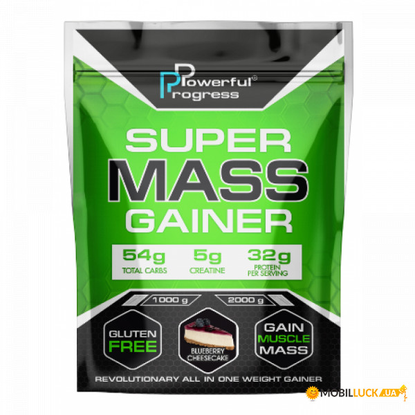  Powerful Progress Super Mass Gainer 1000g Blueberry Cheesecake