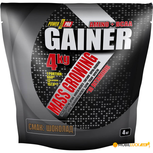  Power Pro Gainer 4  