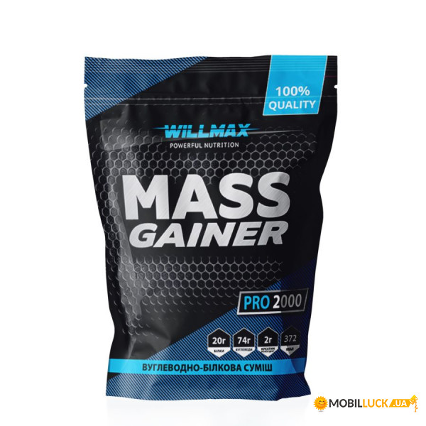  Willmax Mass Gainer 2  